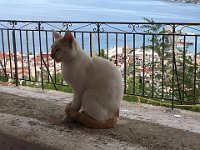 foto 190